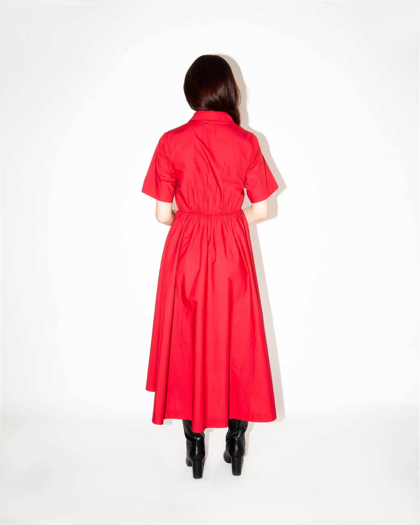 Aerin Dress