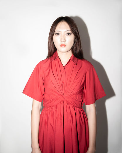 Aerin Dress