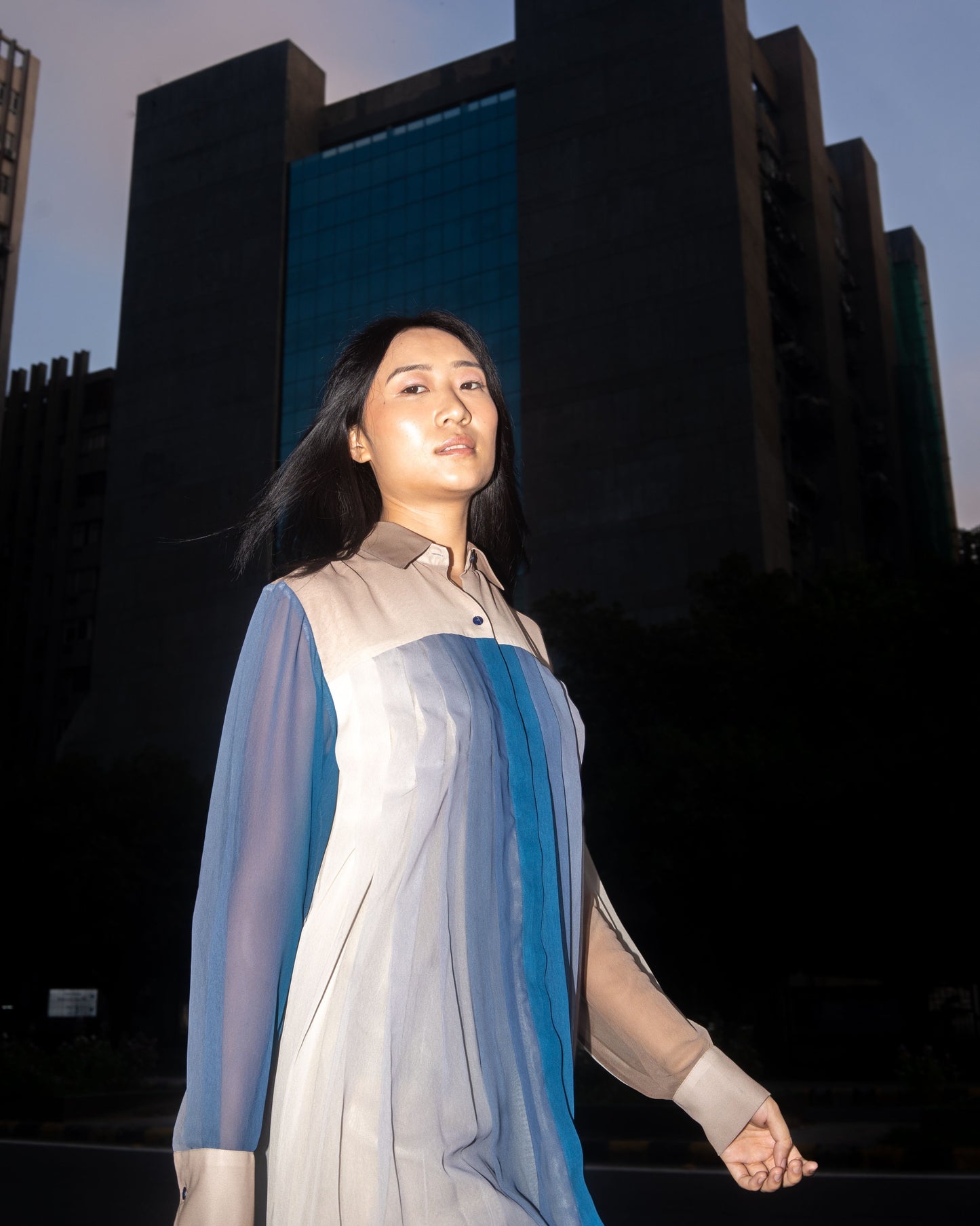 Lyra Dress