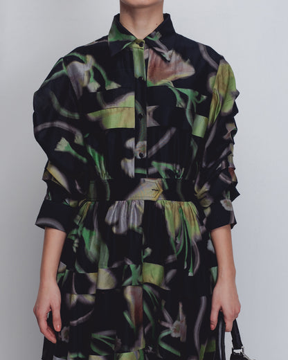 Paron Print Pleated Dress